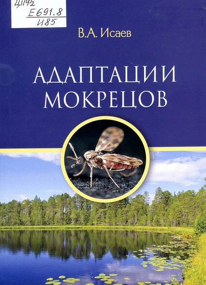 Изображение карточки