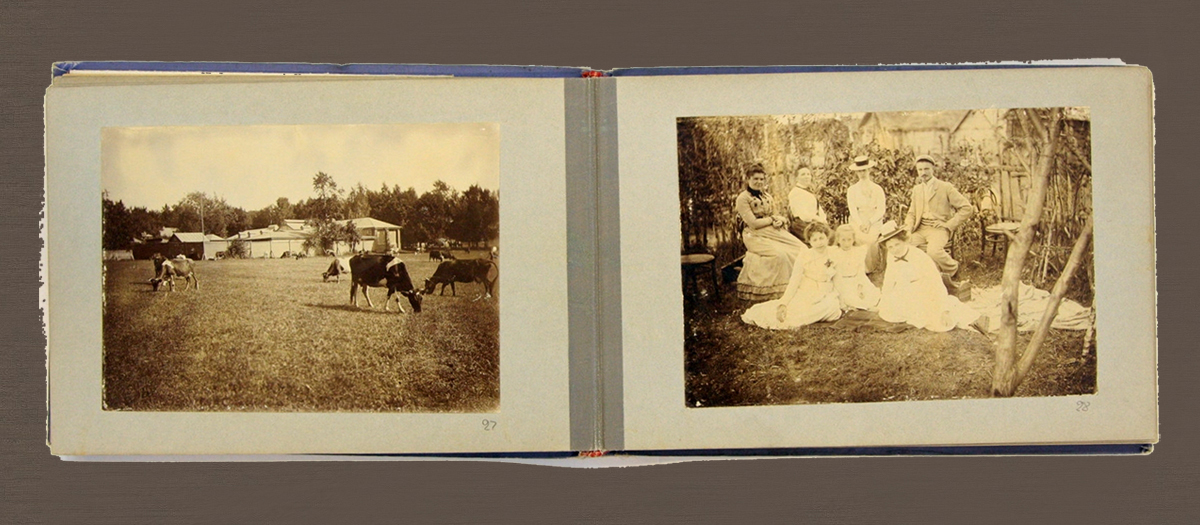 Альбом любительских фотографий. Россия, конец XIX — начало ХХ века