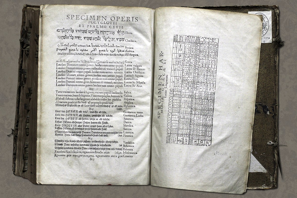 Купить Новый Завет Перевод С Греческого